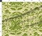 Green Yellow Nature Birds Victorian Summer Damask Olive Baroque Chinoiserie Rococo Art Nouveau Large Scale Custom Printed Fabric by Spoonflower Various Fabrics by the Yard or Fat Quarter